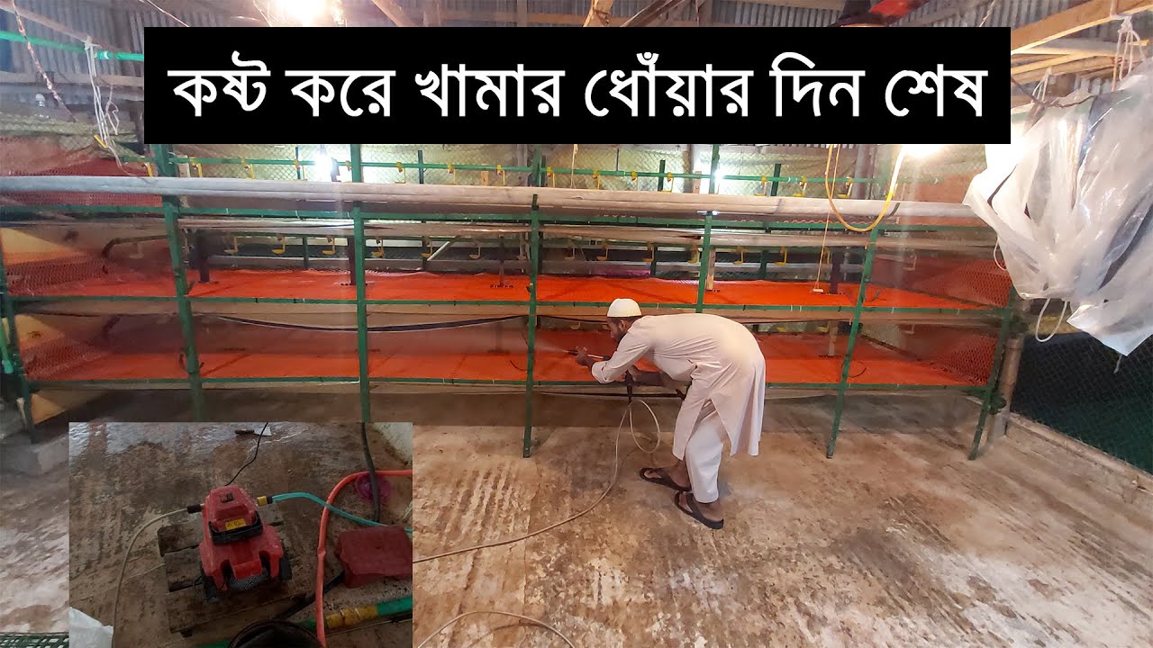 খাঁচার খামার ধোয়ার সহজ পদ্ধতি || Easy way to wash a poultry farm