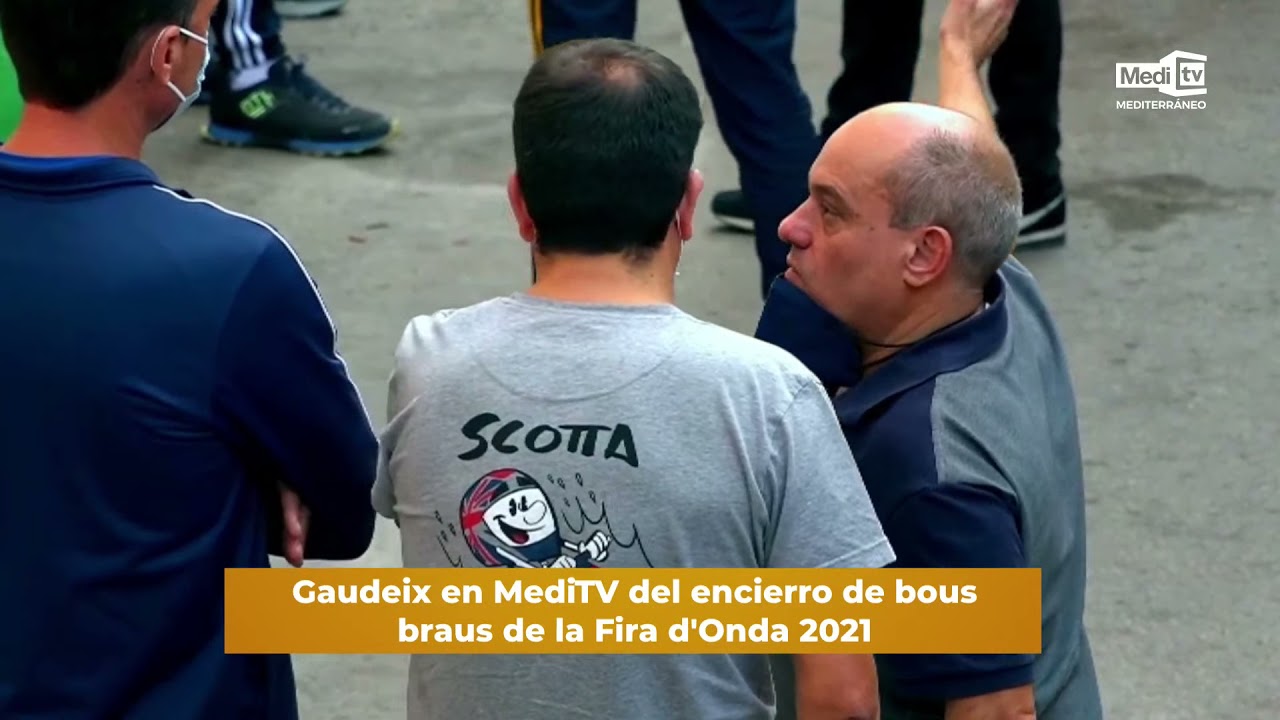 DIRECTE | Encierro de bous braus a la Fira d'Onda 2021 | 29/10/2021