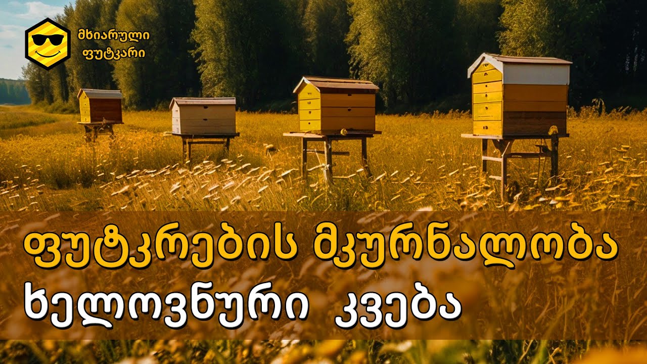 ფუტკრების მკურნალობა, ხელოვნური კვება ზაფხულში