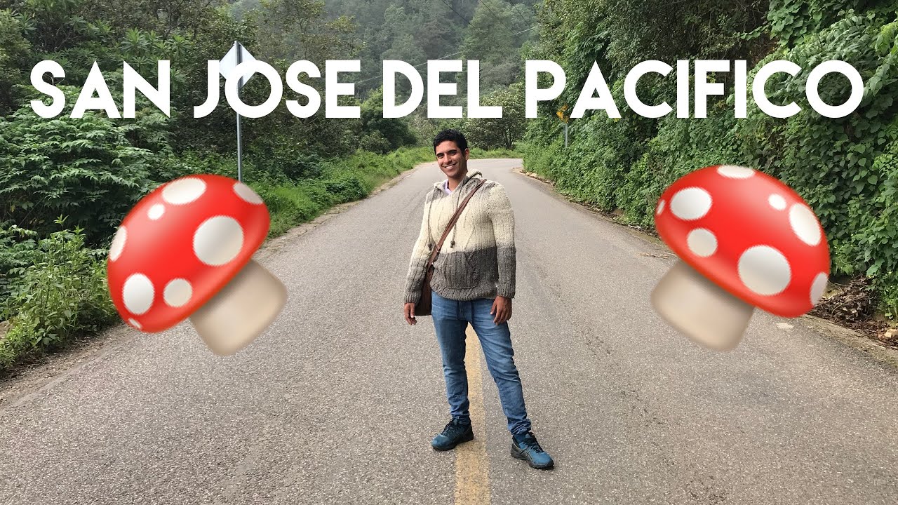 El alucinante pueblo de San José del Pacífico en las montañas de Oaxaca, México