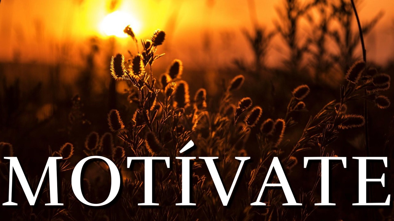 Cada D&iacute;a Es Una Nueva Oportunidad &brvbar; Mot&iacute;vate &brvbar; Reflexiones De La Vida
