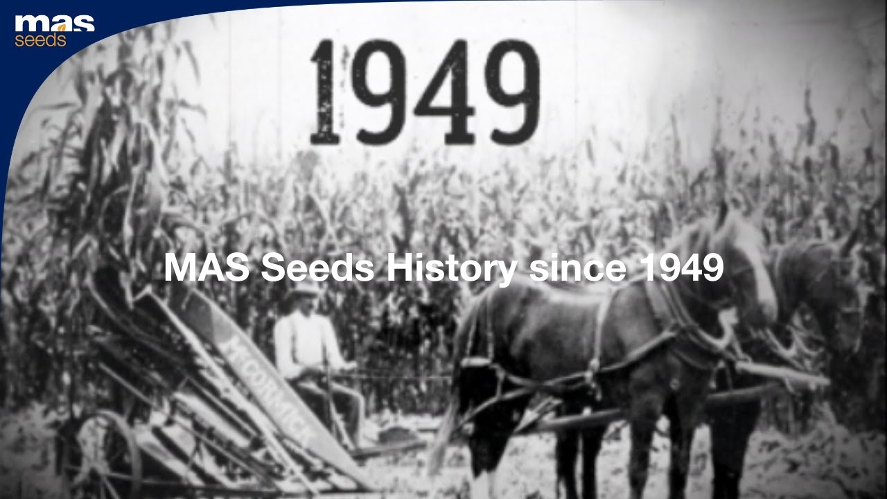 MAS Seeds History