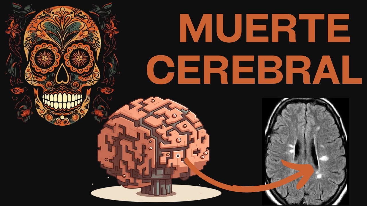 ¿Qué es la muerte cerebral y cómo se detecta?