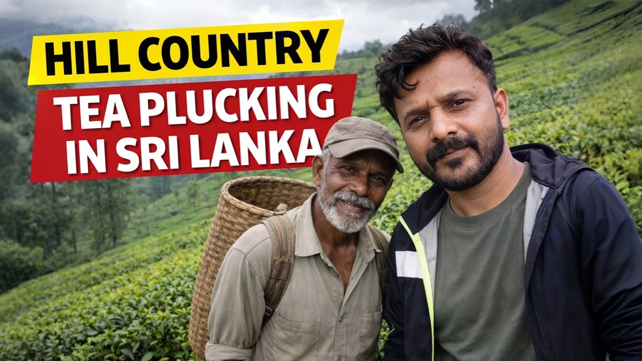 What It’s Really Like Inside Sri Lanka’s Tea Plantations