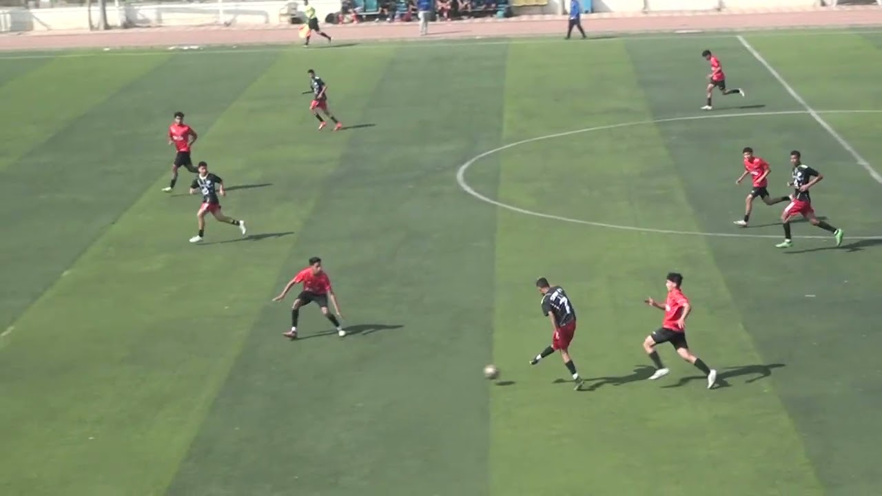 الشيخ زايد ٢٠٠٨