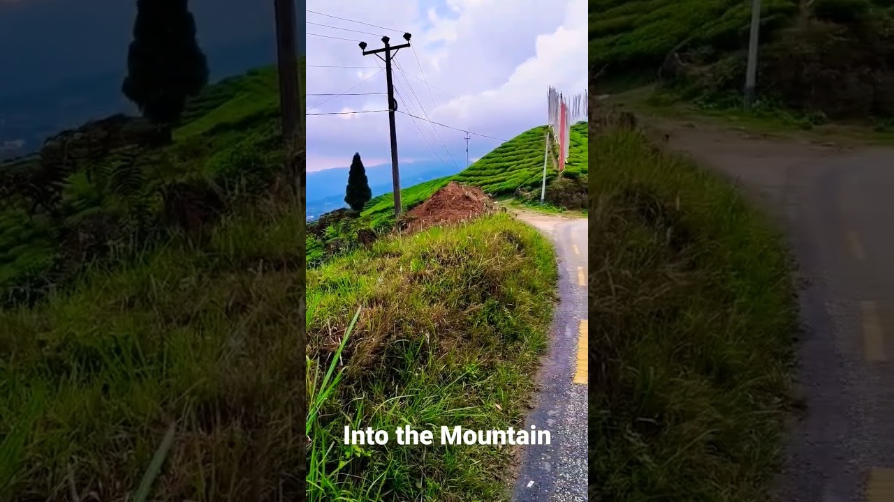 Into the mountain..#mountainlovers #motovlog #hills #sikkim #teagarden #vlog #shots #himalayas