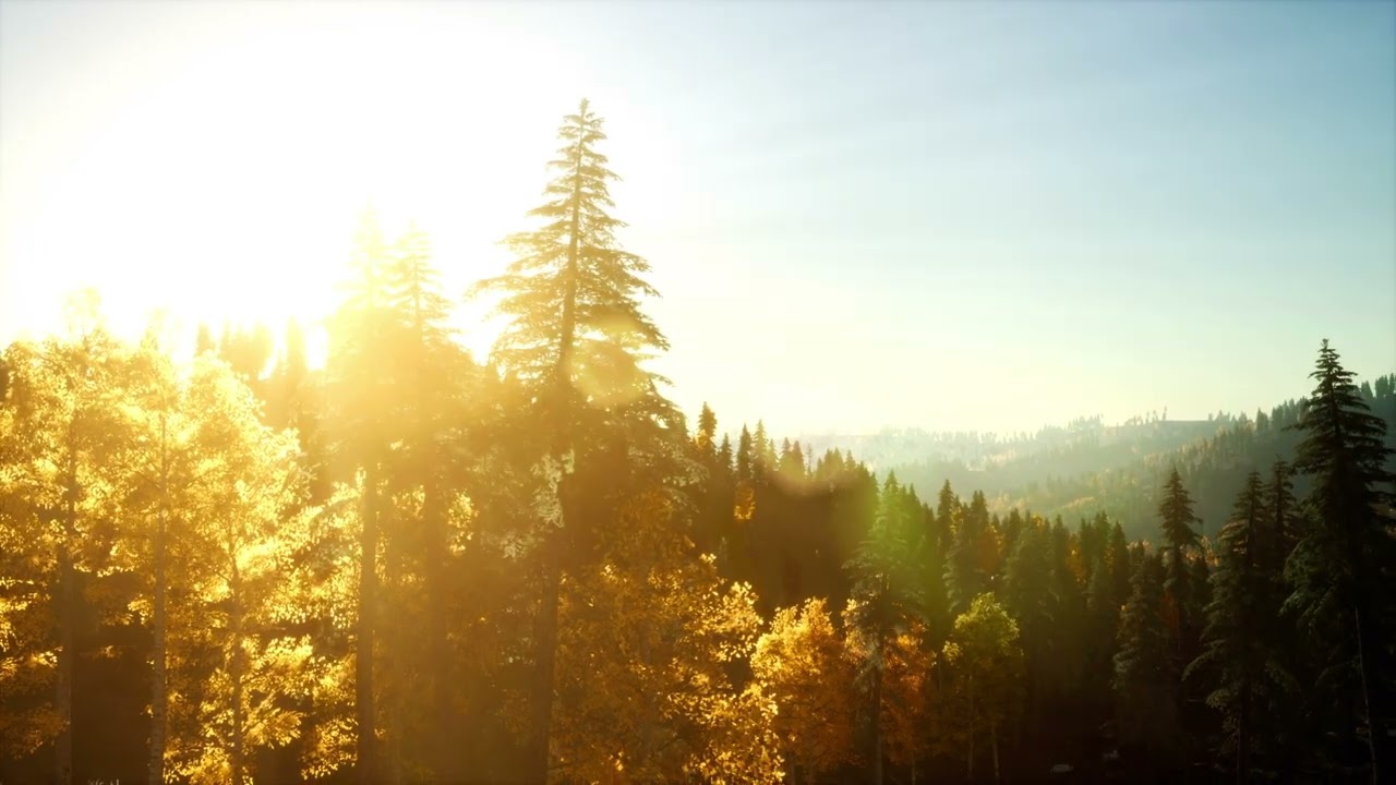 Classical music - The Forest Grand -Trevor Kowalski ,  Beautiful piano music, Clam Relax
