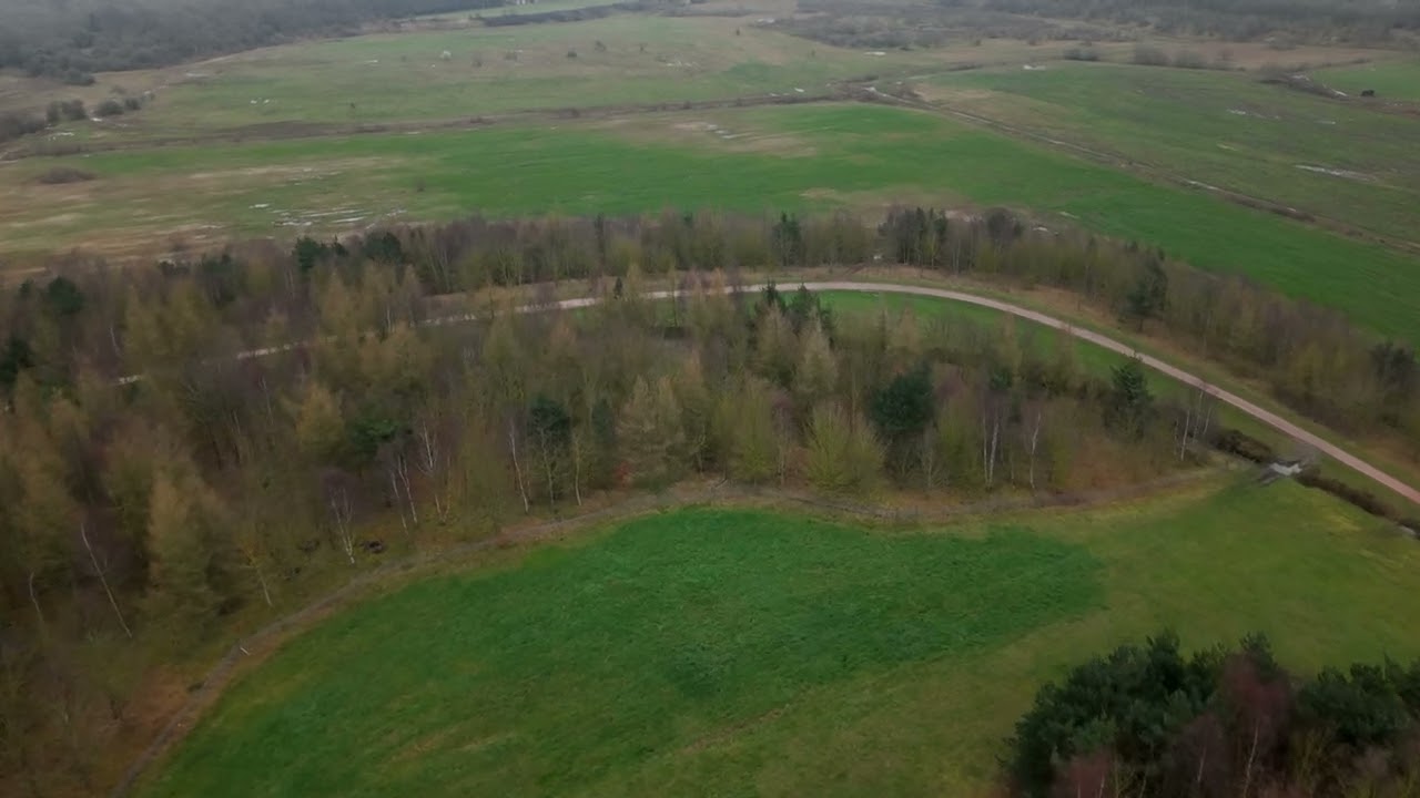 Brodsworth Woodland