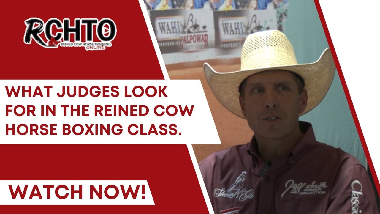 What Judges Look For In The Reined Cow Horse Boxing Class.