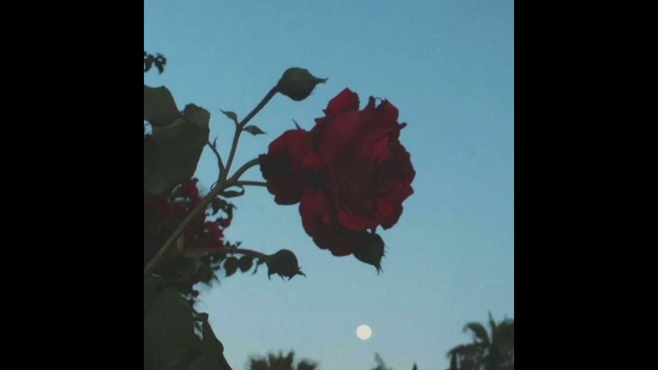 MC Menor da VG - Conto do pescador  (slowed)