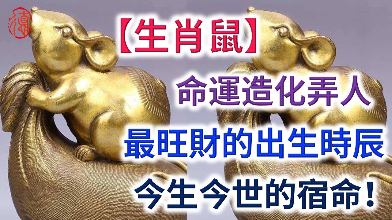 命運造化弄人，生肖鼠最旺財的出生時辰，今生今世的宿命！