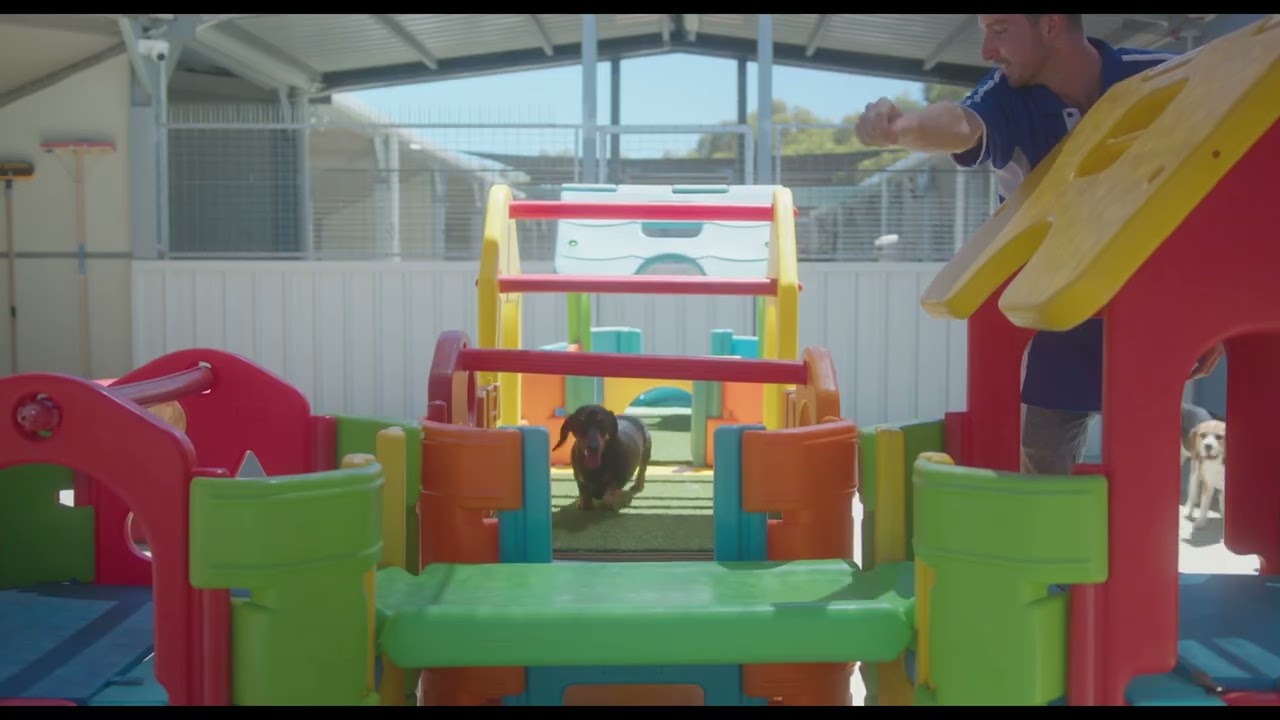 Baldivis Boarding Kennels & Cattery Virtual Tour 2024