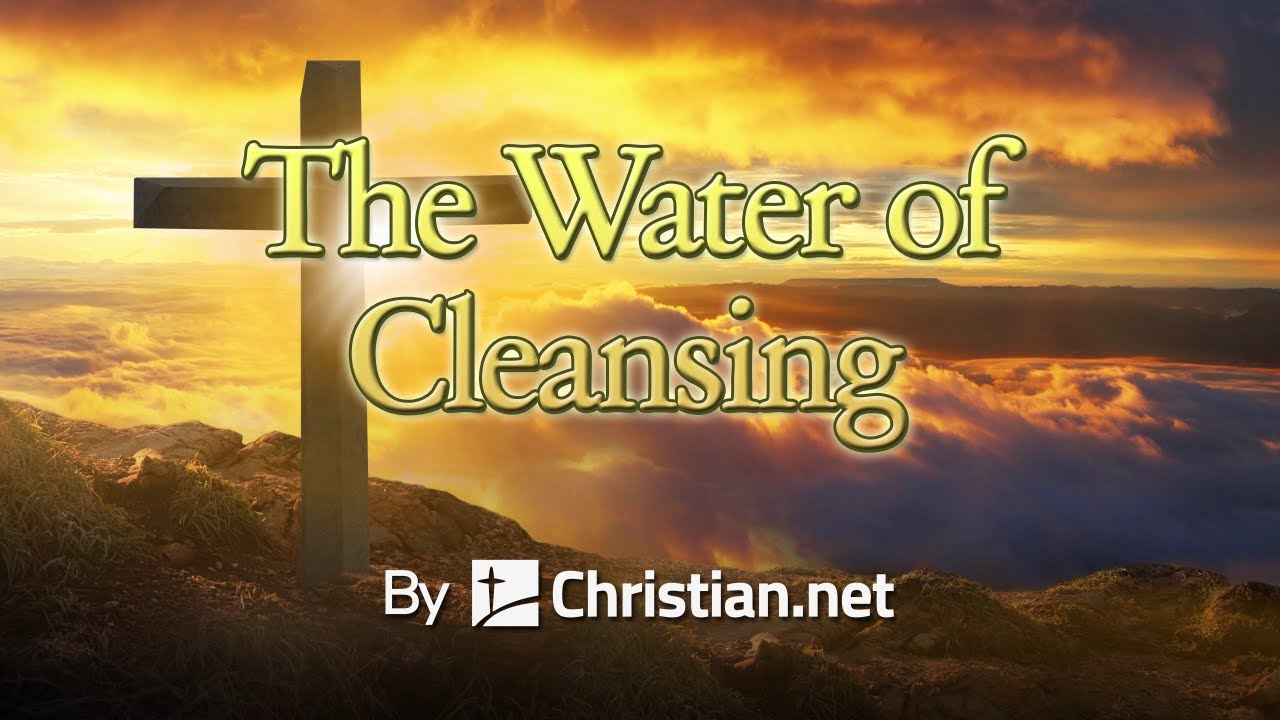 Numbers 19: The Water of Cleansing | Bible Stories