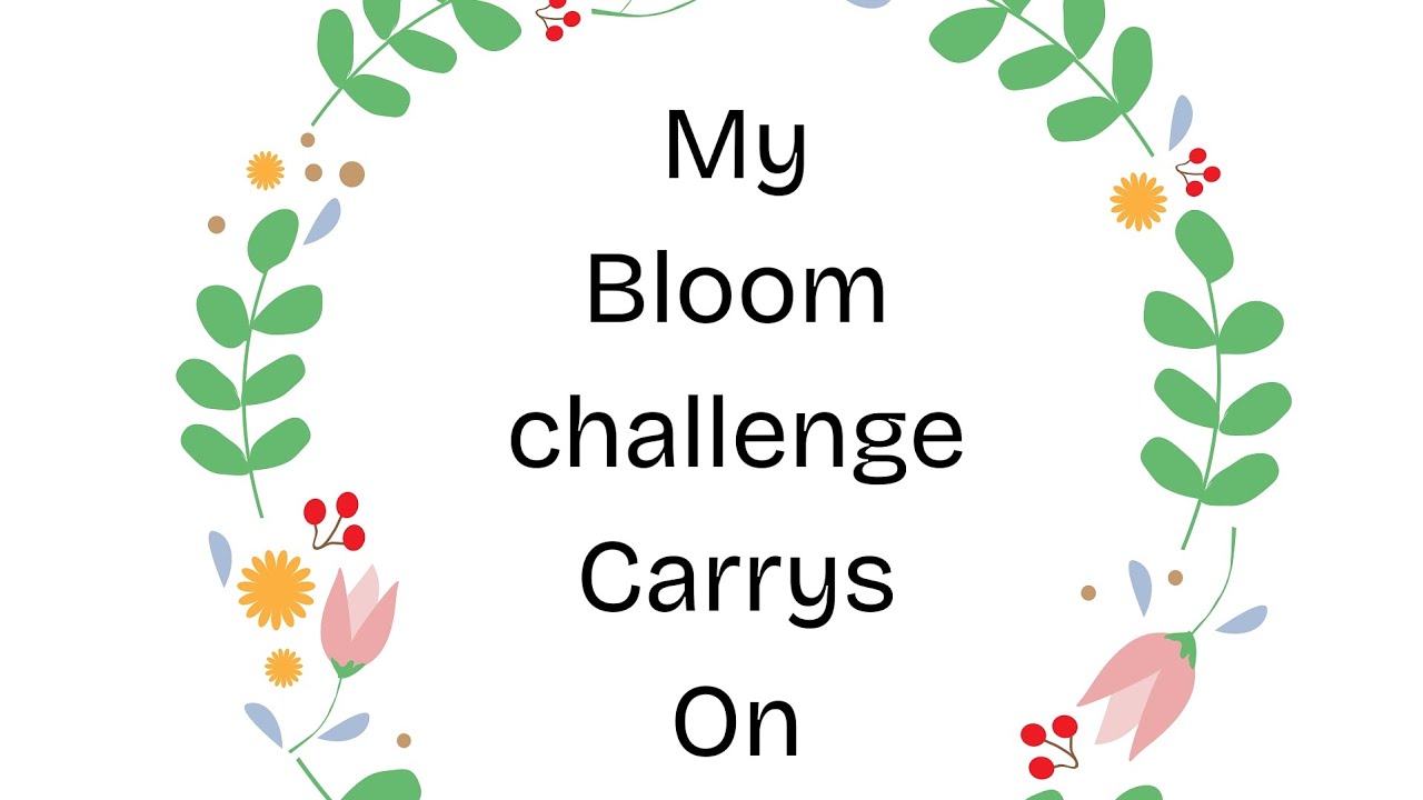 Задание Bloom, часть 2
