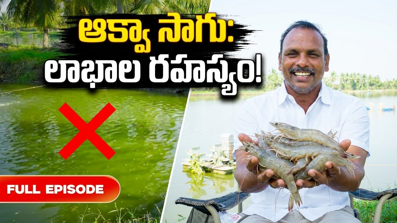 Aqua Stories : Episode - 2 |  Murali Krishna Exclusive Full | Fishery News Telugu