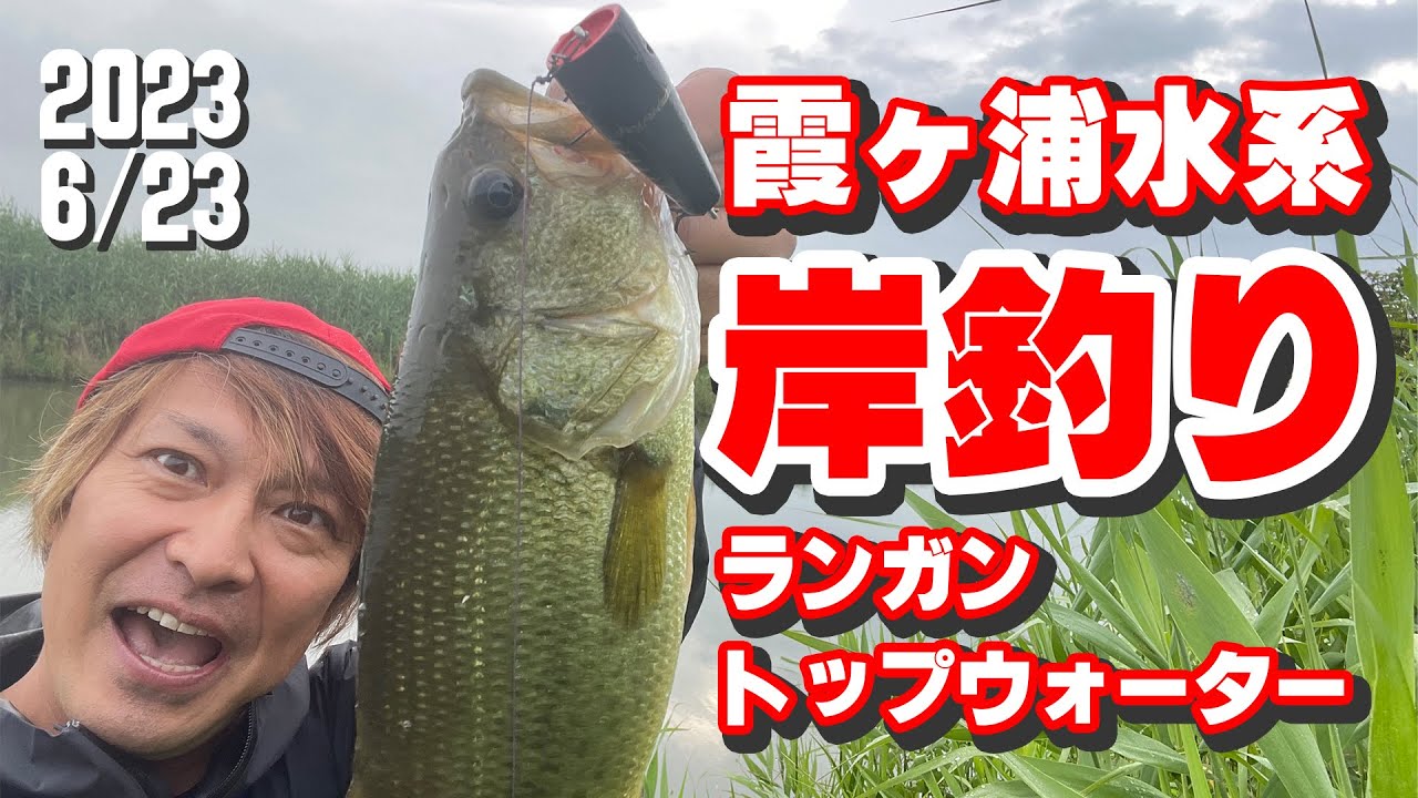 霞ヶ浦水系 岸釣りランガントップウォーター