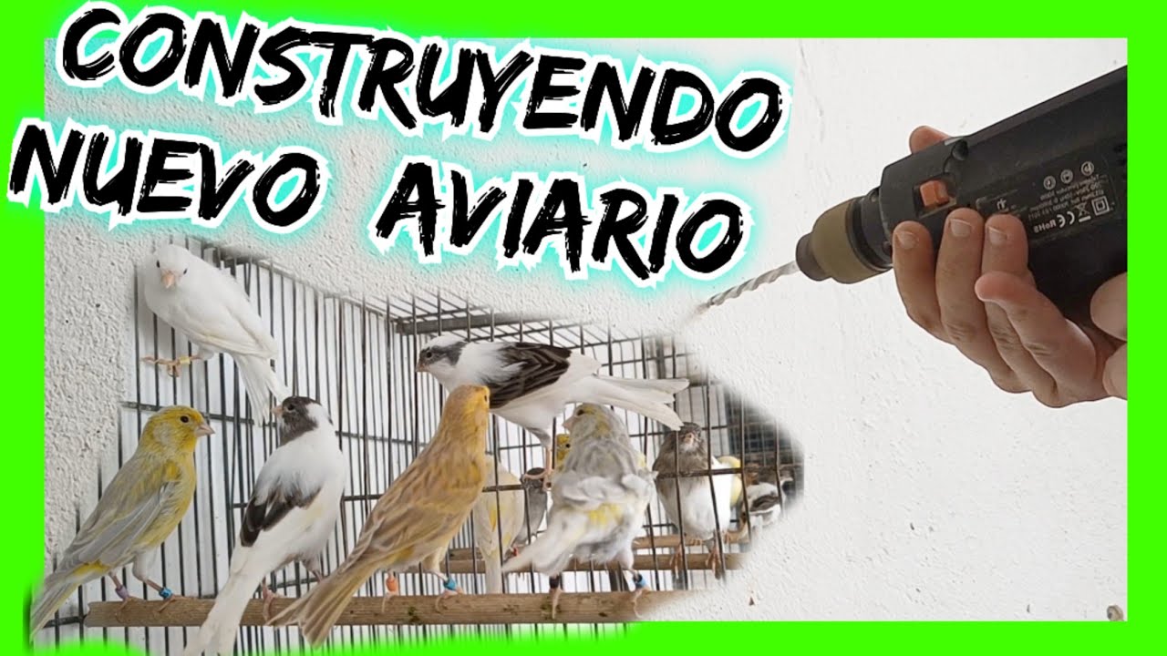 💥Construyendo NUEVO AVIARIO!!🐦‍🔥RESURGIR o m0rir