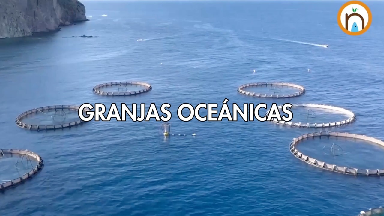 Granjas oceánicas