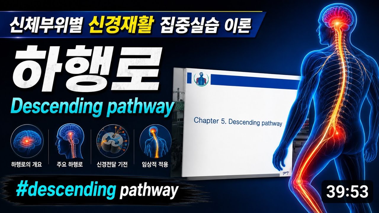 신체부위별 신경재활 집중실습 5주차 이론 #descending pathway
