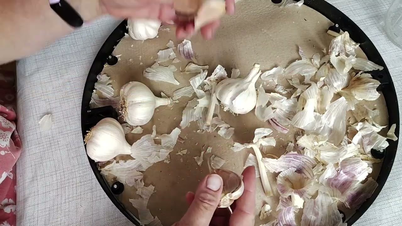 05 I bought a garlic bulb, now what? How to get cloves ready from bulb.