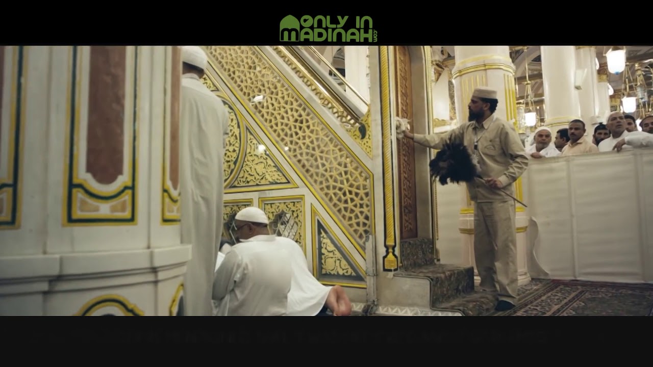 The Weeping Tree ᴴᴰ | Only In Madinah