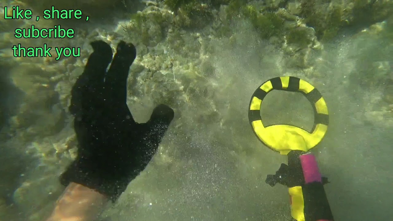 Nokta Makro pulse dive 1st hunt