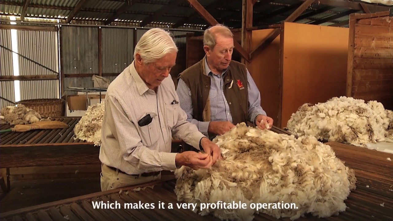 Sustainable Land Management at Coolringdon, Monaro region NSW