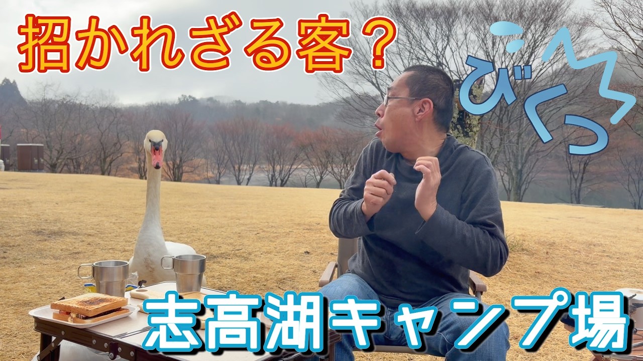 大分県別府市志高湖キャンプ！！雨やら白鳥やらw w