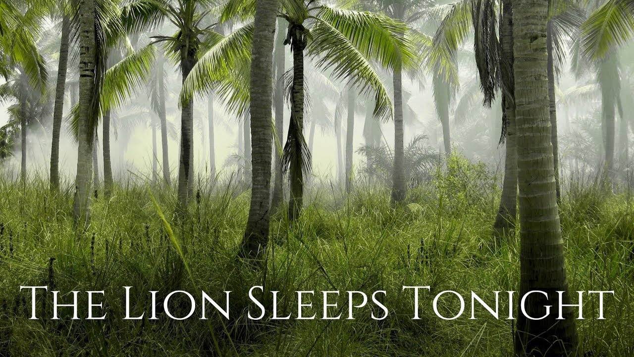 The Lion Sleeps Tonight (Acoustic Version) - From 