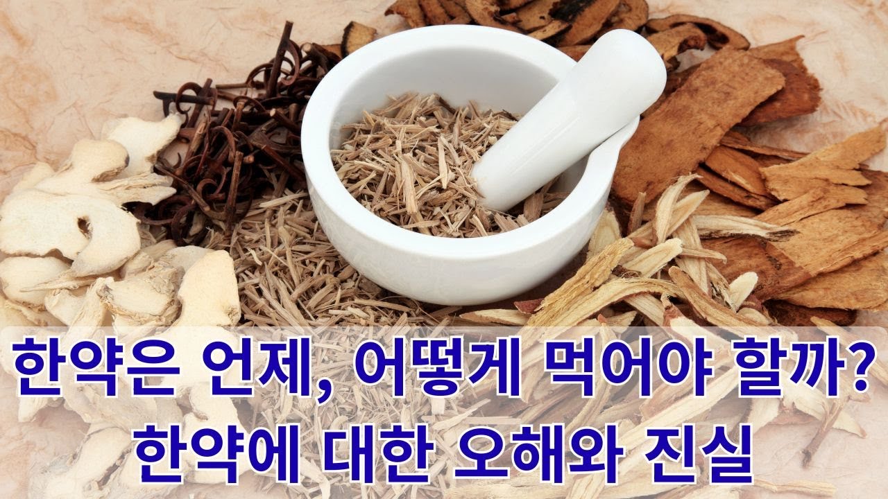한약은 언제, 어떻게 먹어야 할까 - 한약에 대한 오해와 진실 #조마담