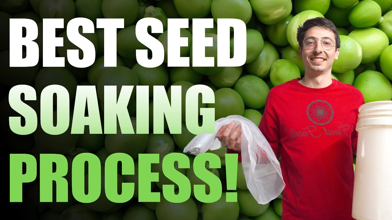 How To Soak Microgreen Seeds (Best System)