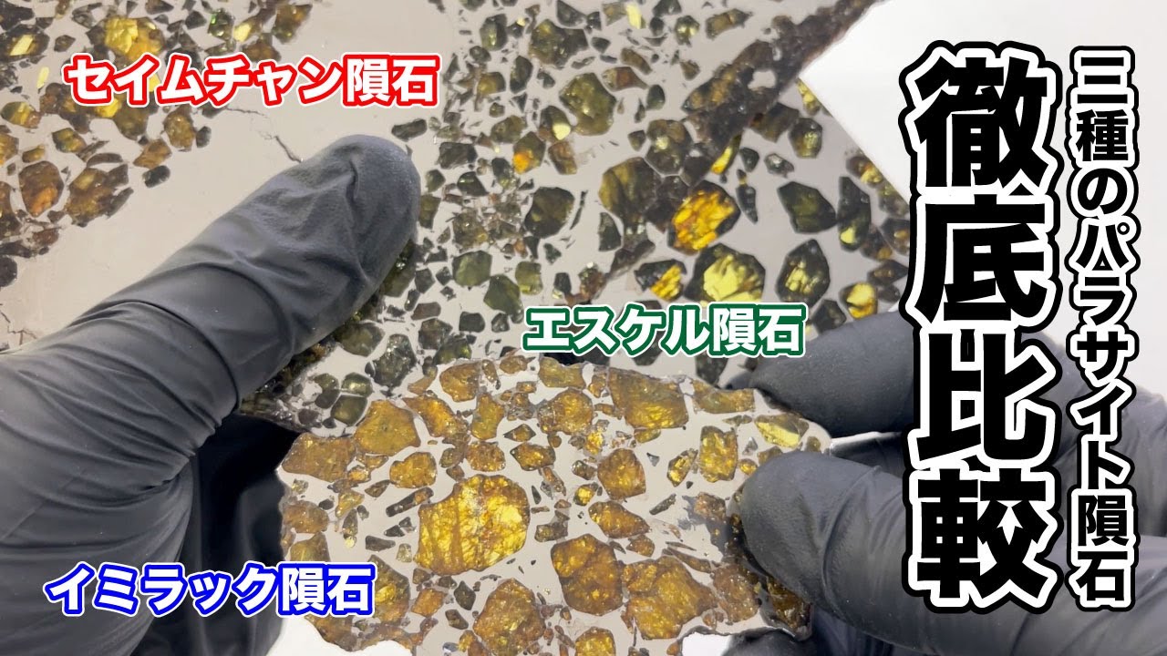 【パラサイト隕石徹底比較】イミラック、エスケル、セイムチャンの違いと特徴を解説します！
