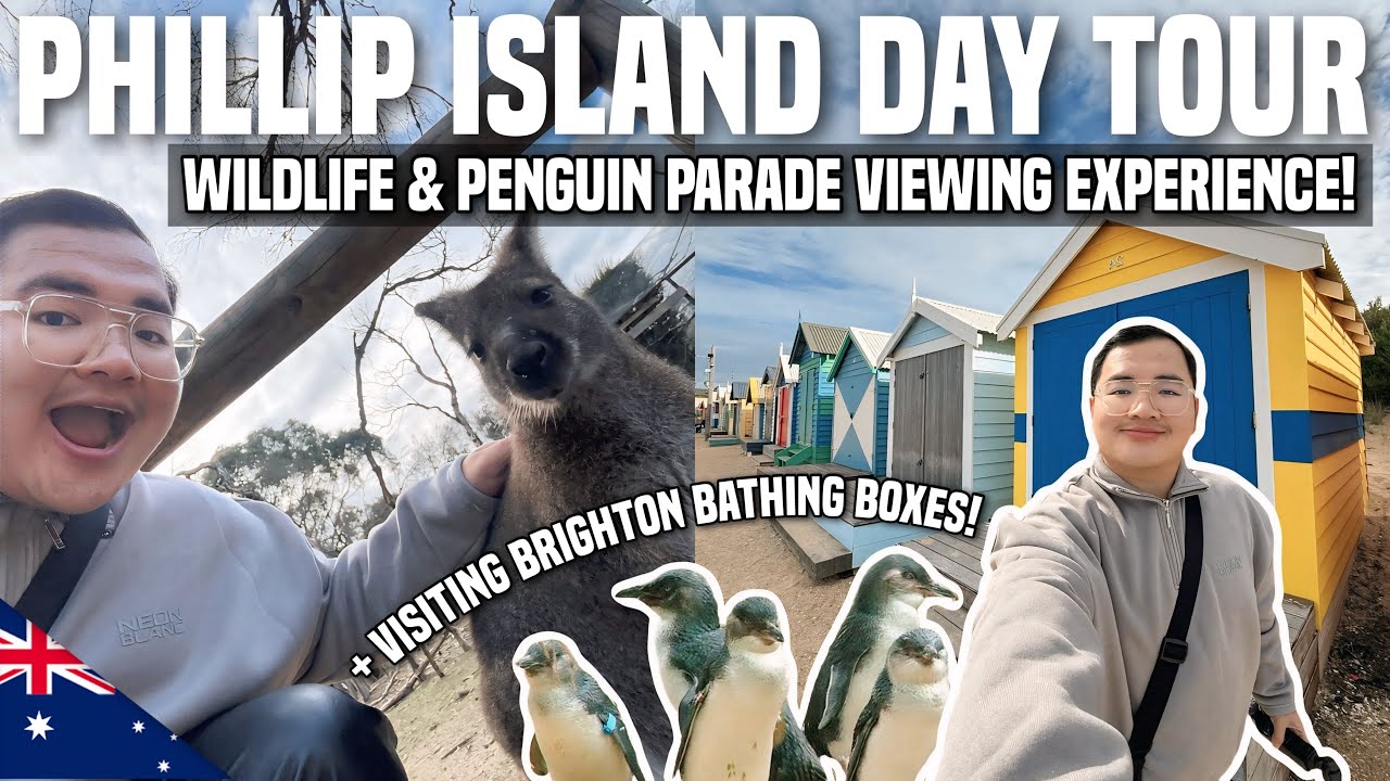Exploring PHILLIP ISLAND + PENGUIN PARADE Day Trip from MELBOURNE! 🇦🇺 | Ivan de Guzman