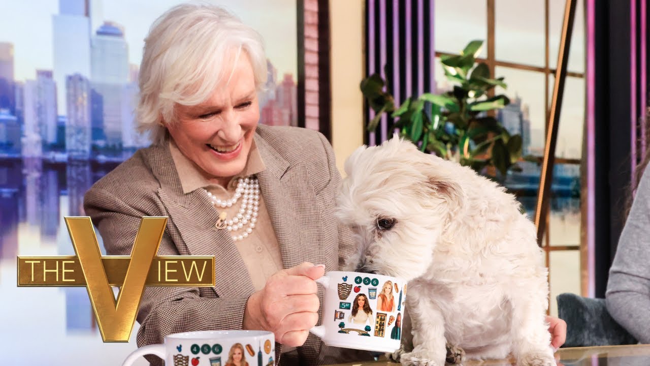 Glenn Close Looks Back On Storied Career, Talks New Film ‘Back In Action’ | The View