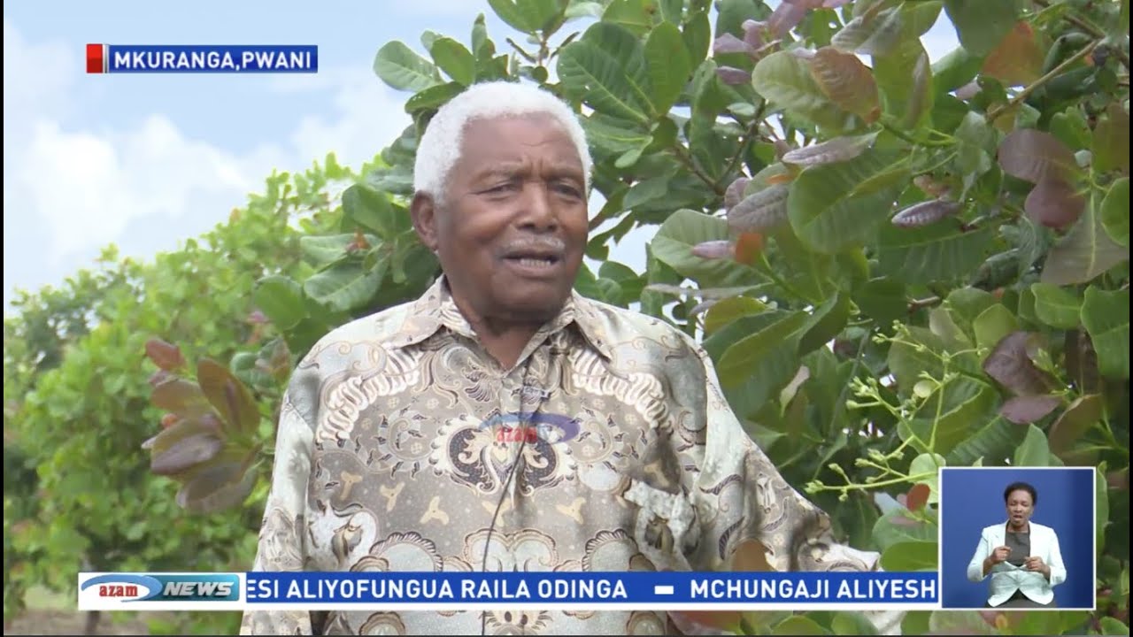 SHAMBANI | Rais mstaafu Mwinyi na shamba la mfano la Korosho