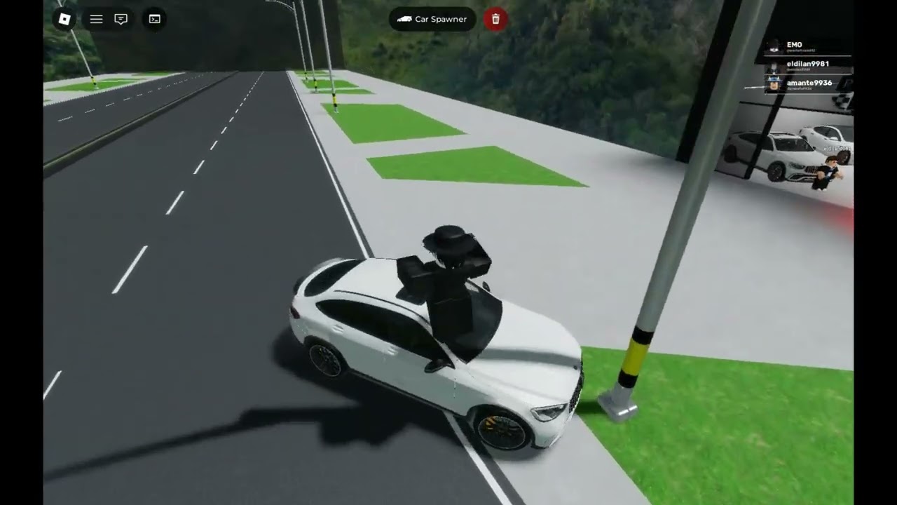 SUBIENDO PALMAS CON MI PRIMO