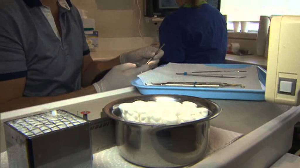 Clinic provides free dental check-up for a ‘kia ora’