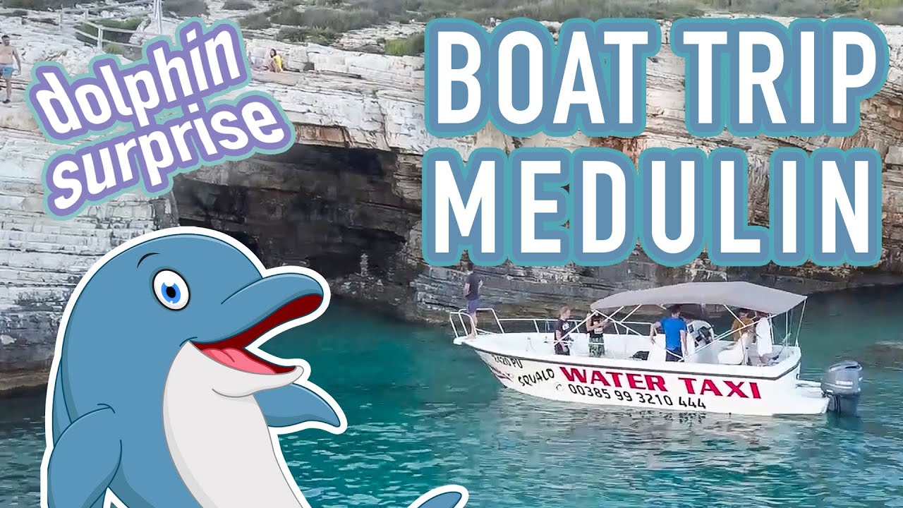 DOLPHIN SIGHTING at Porer Island! [Boat Trip from Medulin]