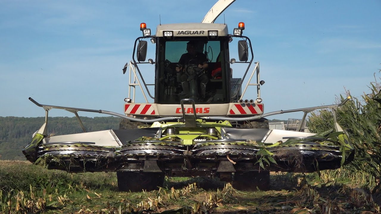 Maisernte 2023 | Claas Jaguar 870