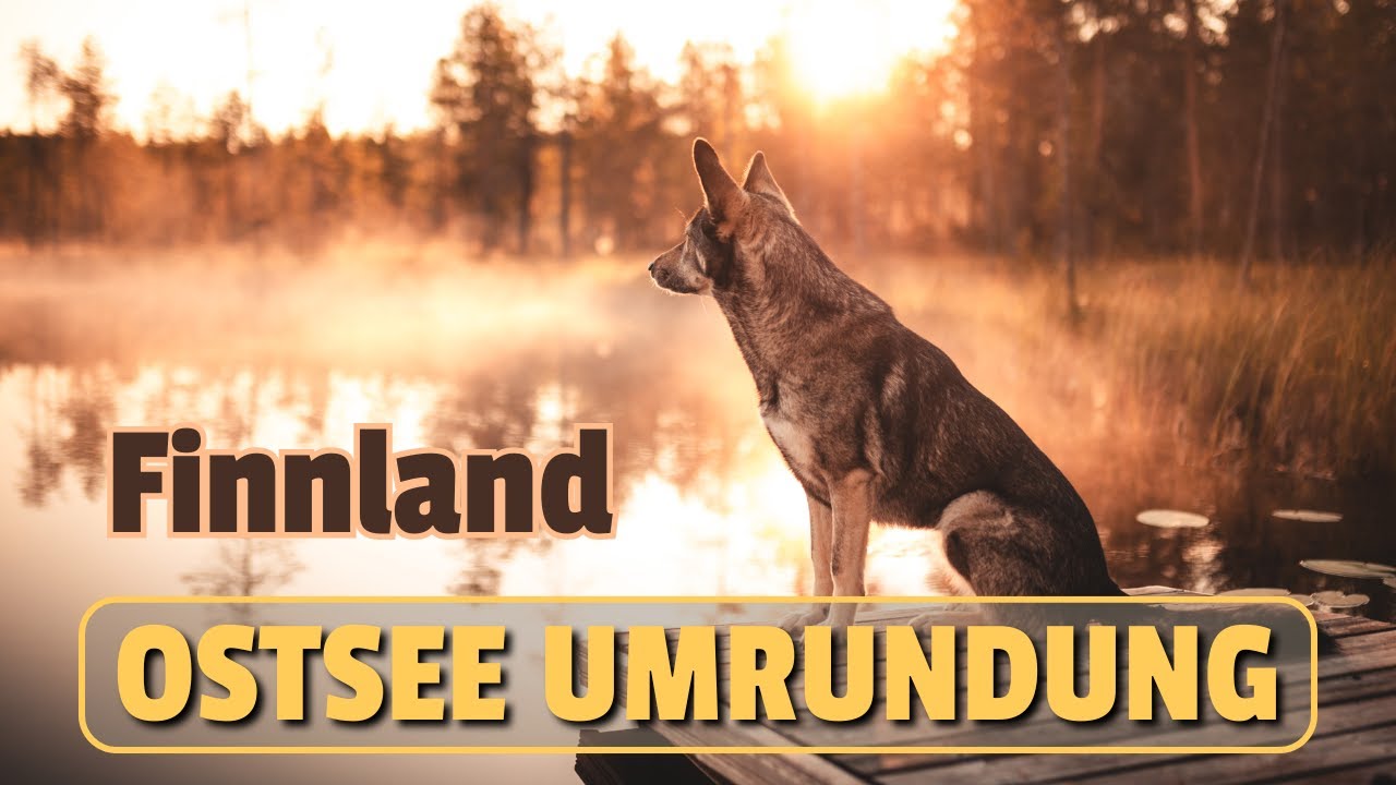 Finnland: Rentiere & Oulanka-Nationalpark | Ostseeumrundung 2024 - Episode 2