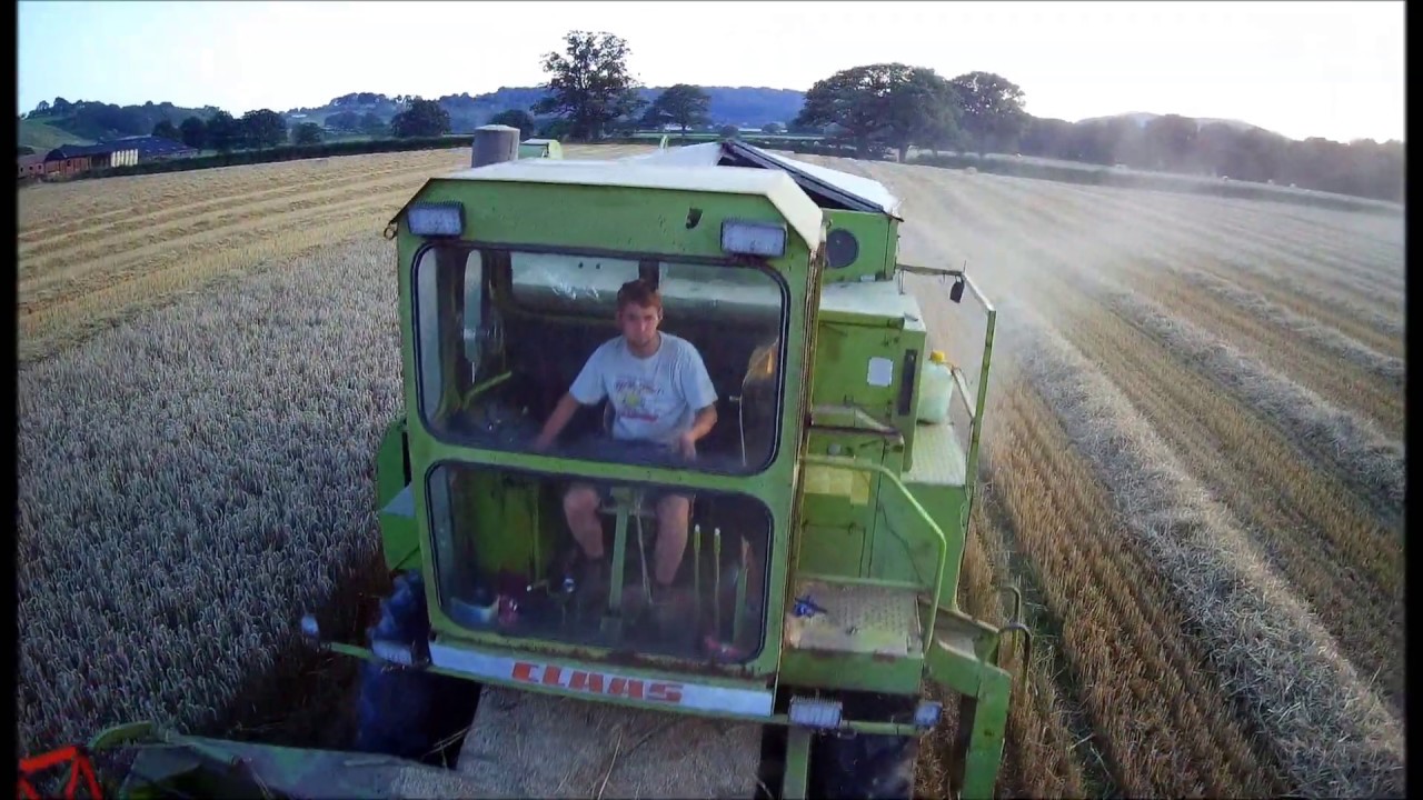 Combining 2019 .... VINTAGE STYLE, CLAAS DOMINATOR 85