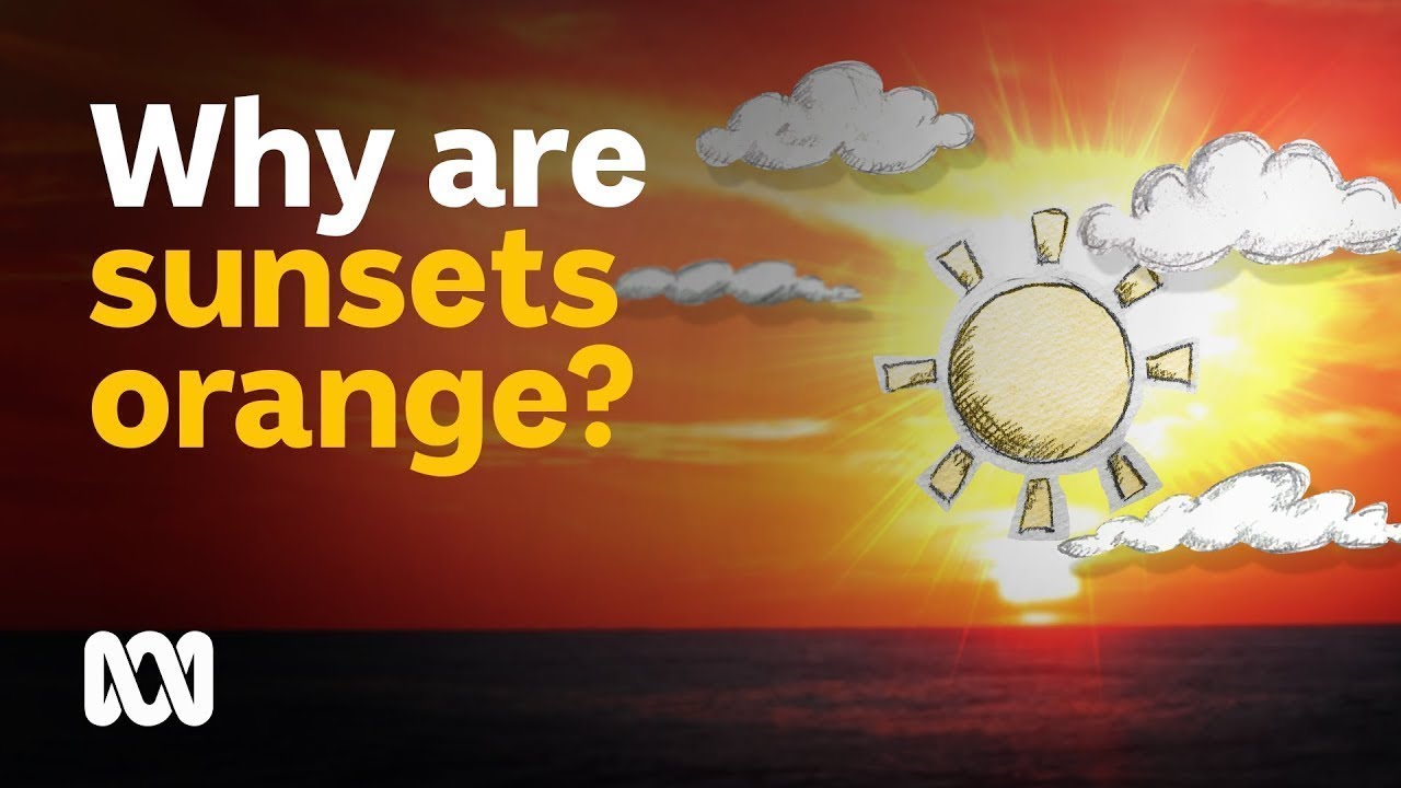 Why is a sunset or sunrise never blue or green? | Colourful Weather | ABC Australia