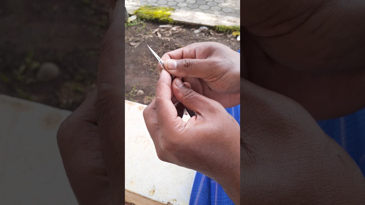 pisau bedah/bisturi buat okulasi