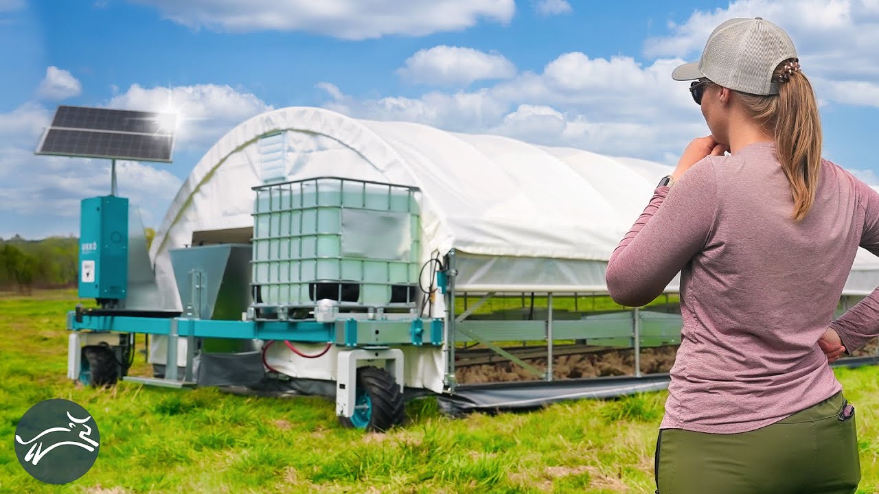 Is This The Future Of Raising Chicken On Pasture? [Fully Automated]