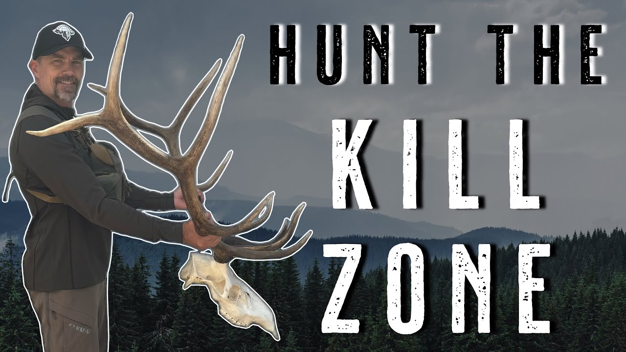 Эта тактика охоты на лосей изменила всё | Как я начал убивать больше быков