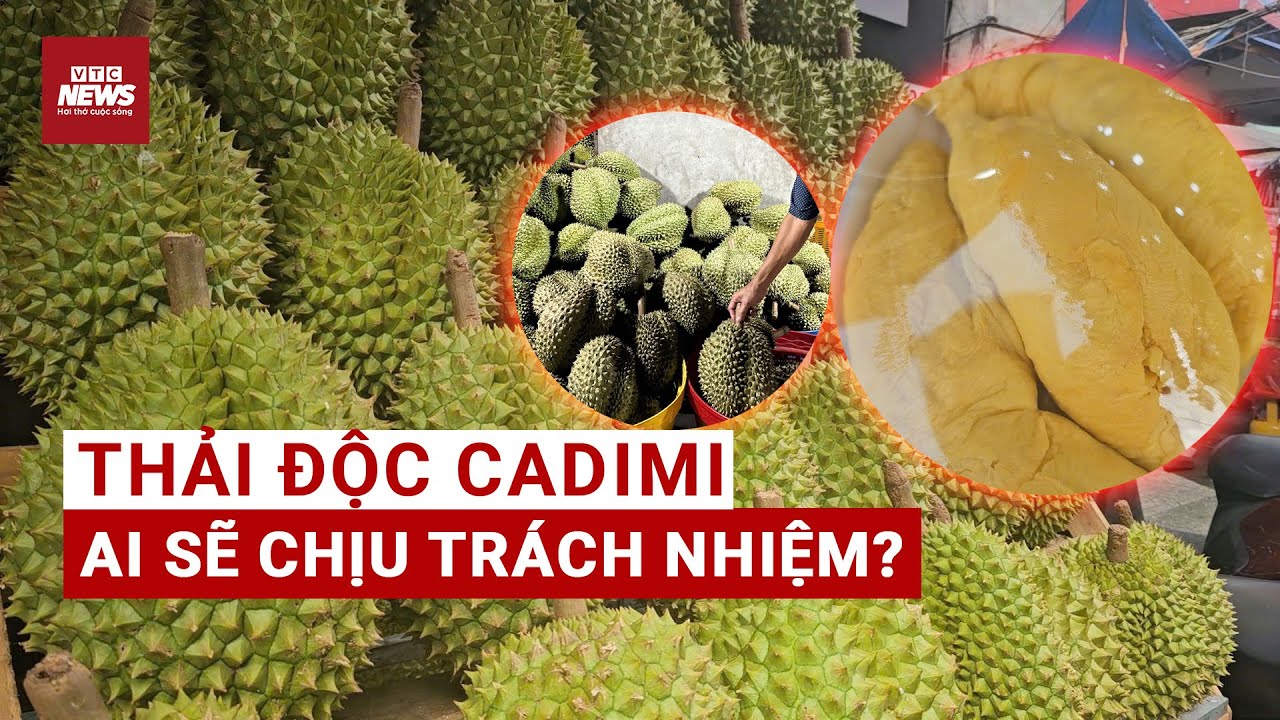 Cadimi âm thầm ‘đầu độc’ sầu riêng Việt: Nguyên nhân nhiễm từ đâu, ai sẽ chịu trách nhiệm?| VTC News