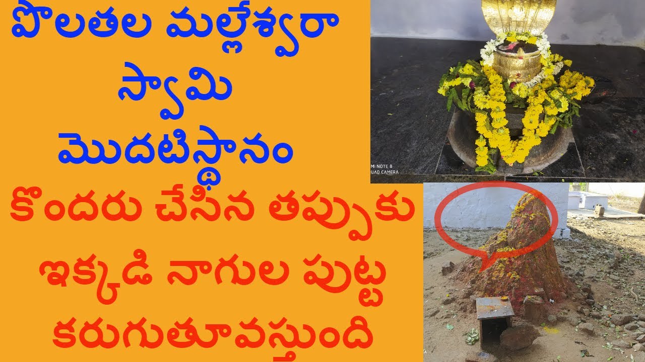 Polathala BhuggaMallewsara Swamy| పొలతల మల్లేశ్వరా స్వామి మొదటిస్థానం | #DharmaJyothiTv telugu