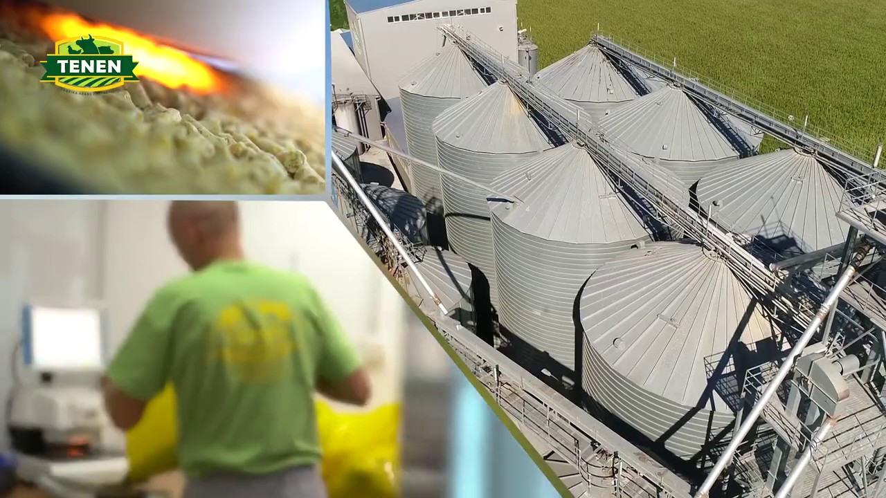 Tenen doo Čenej - u srcu Vojvodine