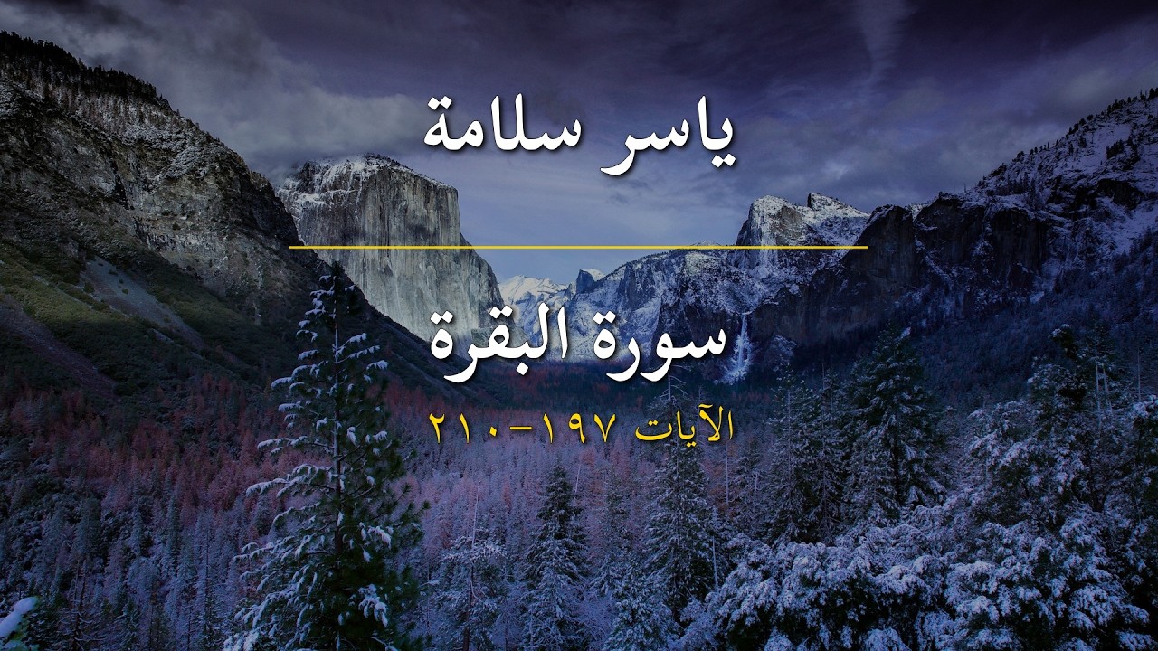 سورة البقرة | ياسر سلامة | الآيات 197-210