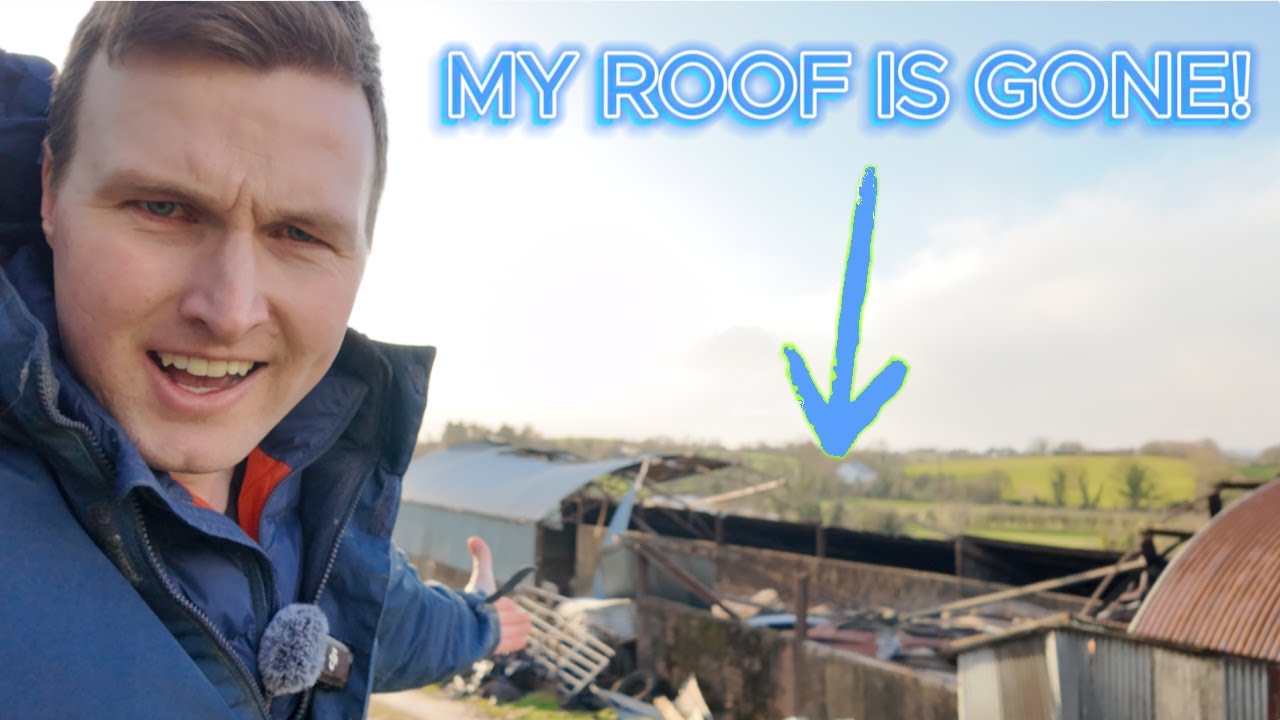 Storm Eowyn Wrecked My Farm! 🌪️ + Opening 4th Cut Silage